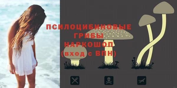 хмурый Сафоново